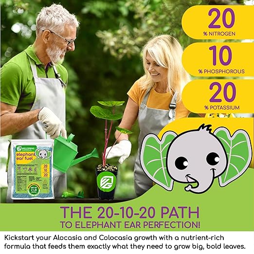 Elephant Ear Fuel Plant Fertilizer - Wellspring Gardens - Plant Food Formula for Alocasias and Colocasias - Complete Soil Nutrients - Lawn and Garden Essentials
