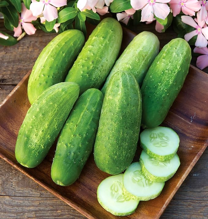 Burpee 'Pickler' Cucumber Seeds, 100 Non-GMO seeds, Container Friendly, Burpee Exclusive