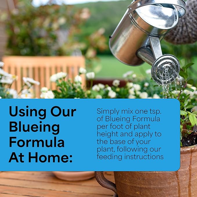 Grow More Hydrangea Blueing Formula - 2lb of USA-Made Soil Acidifier for Hydrangeas, Azaleas, Gardenias, & Many More - Contains Aluminum Sulfate That Enhances Color Change for Soil and Potted Plants
