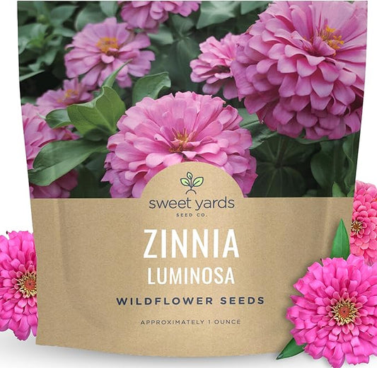 Zinnia Luminosa - Large 1 Ounce Packet - 4,000 Flower Seeds for Planting - Zinnia elegans