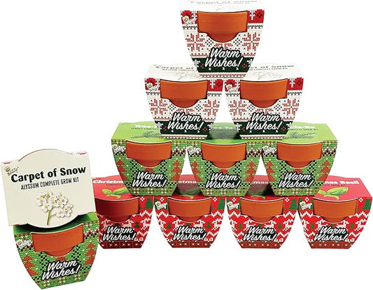 Buzzy Seeds Holiday Sweater Terracotta Mini Grow Pots | Assorted 12-Pack | Christmas Basil, Spruce, Alyssum | Herb Starter Kit for Kids & Adults | Guaranteed To Grow | Gifts, Favors, Stocking Stuffers