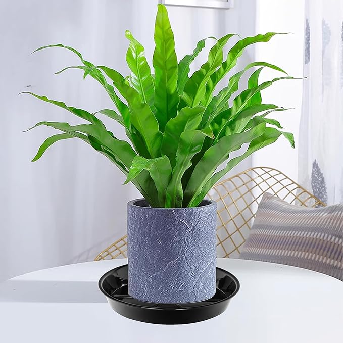 6 Pack Plant Saucer Drip Tray 16 inch, Potting Trays for Plants, Heavy Sturdy Plastic Planter Flower Pot Saucers for Indoor Outdoor Garden, Plant Water Drip Trays for pots (16", Black)