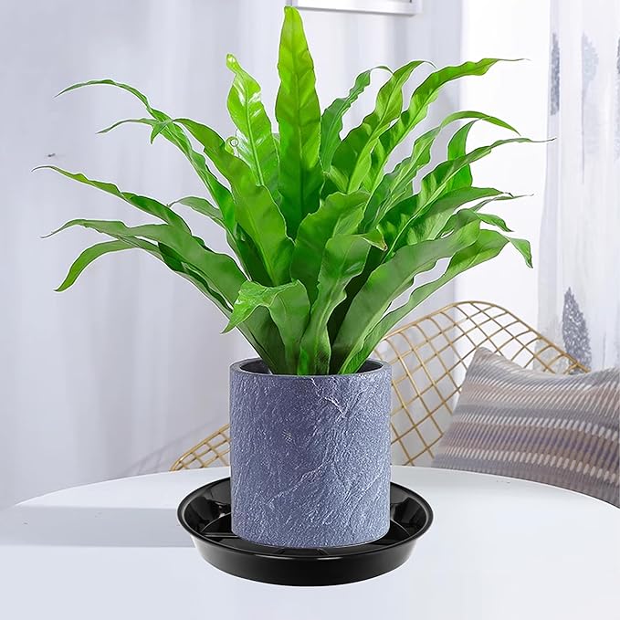 6 Pack Plant Saucer Drip Tray 16 inch, Potting Trays for Plants, Heavy Sturdy Plastic Planter Flower Pot Saucers for Indoor Outdoor Garden, Plant Water Drip Trays for pots (16", Black)