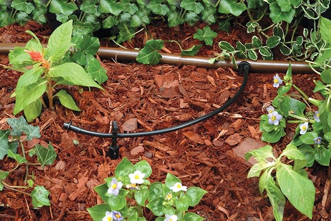 Rain Bird T22-100S Drip Irrigation 1/4" Blank Distribution Tubing, 100' Roll, Black
