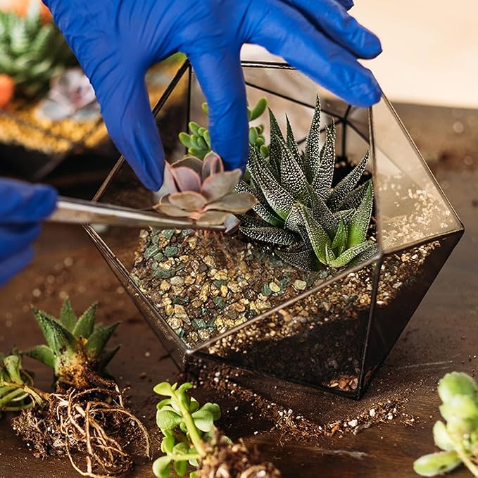 Terrarium Potting Soil Mix 2qt, Custom Made for Terrariums, Perfect for Vibrant Miniature Gardens