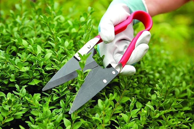 Spear & Jackson Compact Topiary Shears Red, Red & Black (4755TS)