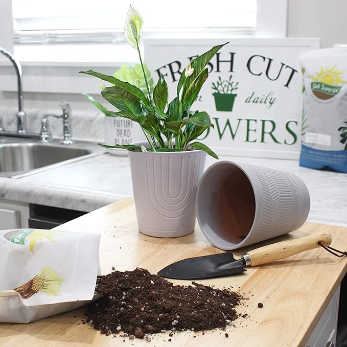 Peace Lily Potting Soil Mix (12 Quarts), for Planting, Growing, or Repotting Peace Lily Plants