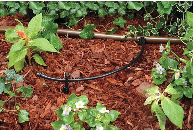 Rain Bird T22-50S Drip Irrigation 1/4" Blank Distribution Tubing, 50' Roll, Black