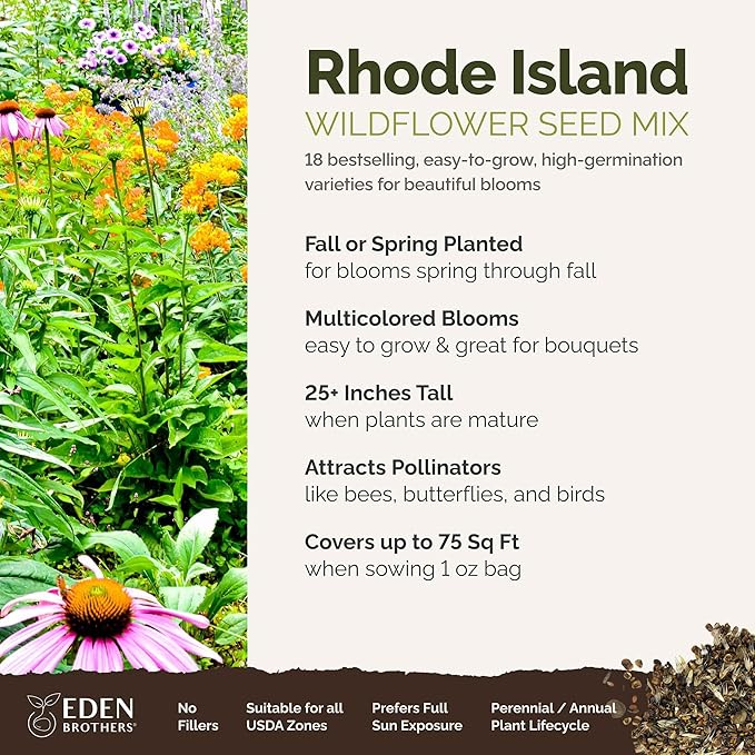 Eden Brothers Rhode Island Wildflower Mixed Seeds for Planting, 1 oz, 30,000+ Seeds with WallFlower, Sunflower | Attracts Pollinators, Plant in Spring or Fall, Zones
