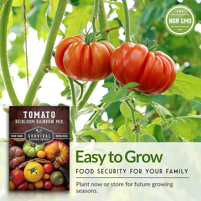 Survival Garden Seeds - Heirloom Rainbow Mix Tomato Seed for Planting - 5 Packets with Instructions to Plant and Grow in Your Home Vegetable Garden - Non-GMO Heirloom Variety - 5 Packs