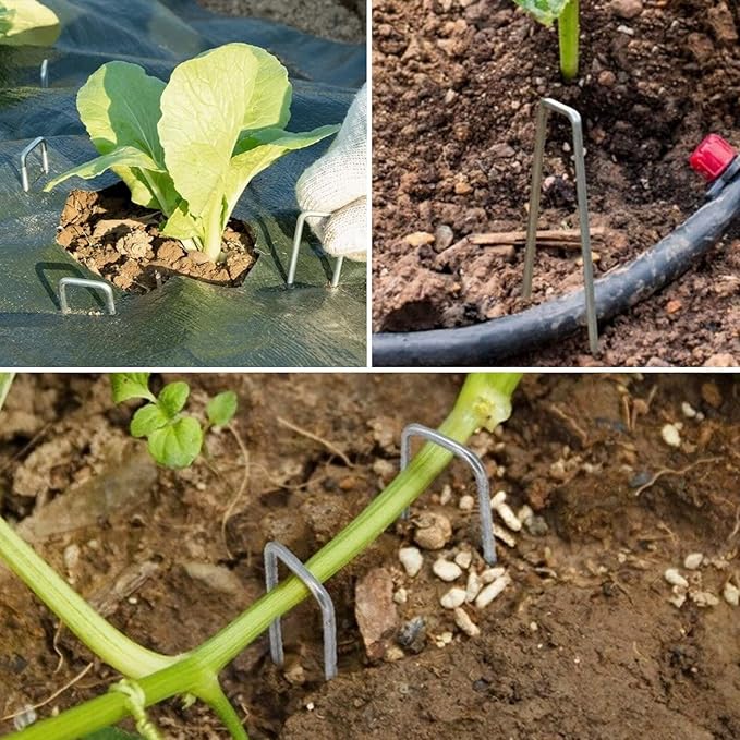 Tent Stakes 12Inch 50pcs Galvanized Landscape Staples,Tent Pegs Heavy-Duty Sod Pins Anti-Rust Fence Stakes Securing Pegs Trampoline Stakes