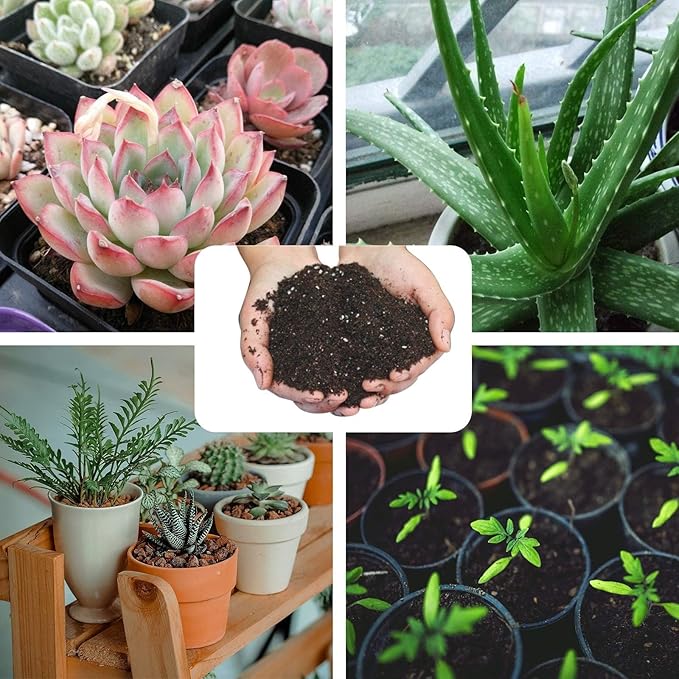 Halatool 3 QT Organic Aloe Plant Soil Potting Mix Garden Top Succulent Soil for Indoor & Outdoor Plants Bonsai Aloe Vera Soil for Houseplants Flowers Vegetables & Herbs