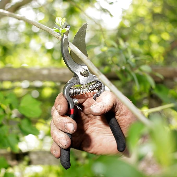 Spear & Jackson CUTTINGSET8 Traditional Bypass & Anvil Pruner/Secateur Set
