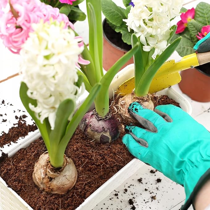 ZeeDix 100 Pcs (40mm) Compressed Coco Coir Fiber Potting Soil Seed Starters - Organic Coco Coir Pellet Fiber Soil for Planting Bonsai, Herbs, Plants, Flowers and Vegetables