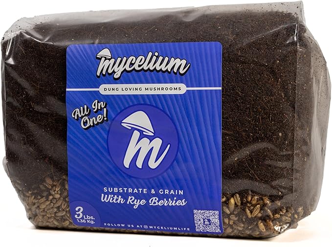 Mycelium's Superior Dung-Loving Mushroom Substrate & Rye Berries Grain 3 LB All-in-One Bag – Organic Coco Coir, Vermiculite & Gypsum Formula, Pre-Sterilized & Ready for Easy Home Cultivation