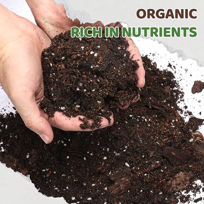 Premium Snake Plant Soil Mix 1qt, Indoor Plants Potting Mix for All Potted Snake Plants, Promote Healthy Growth and Easy Care