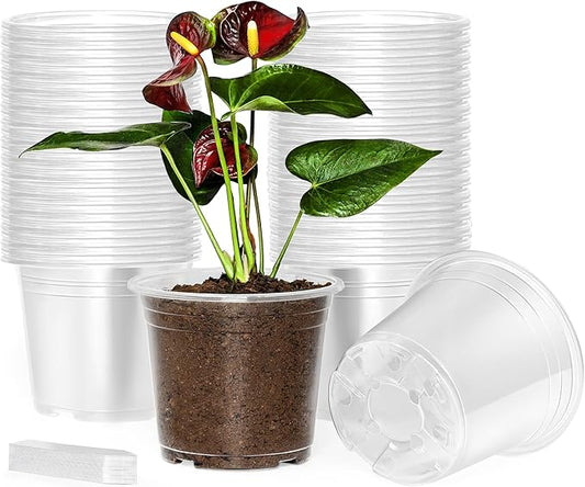 60 Pack 6 Inch Clear Nursery Pots with Drainage Holes, Transparent Plastic Pots for Plants, Reinforced Seed Starter Pots Garden Pots Flower Pots Come with 50pcs Plant Labels