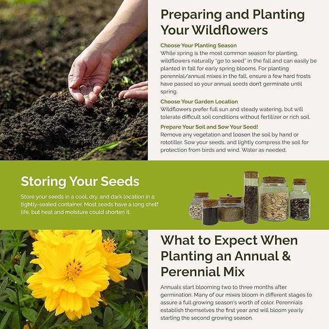 Eden Brothers Ole Yeller Wildflower Mixed Seeds for Planting, 5 lb, 2,400,000+ Seeds with African Marigold, Sunflower | Attracts Pollinators, Plant in Spring or Fall, Zones 3, 4, 5, 6, 7, 8, 9, 10