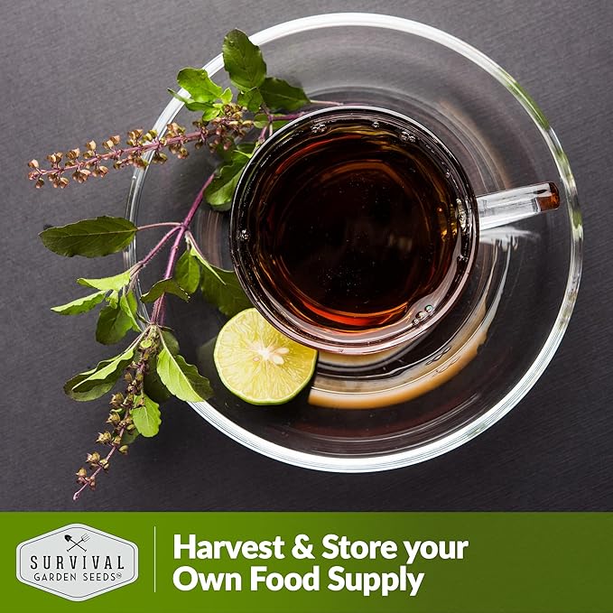 Survival Garden Seeds - Holy Basil Seed for Planting - Packet with Instructions to Plant and Grow The Indian Sacred Herb Tulsi in Your Home Vegetable Garden - Non-GMO Heirloom Variety - Indian Herb