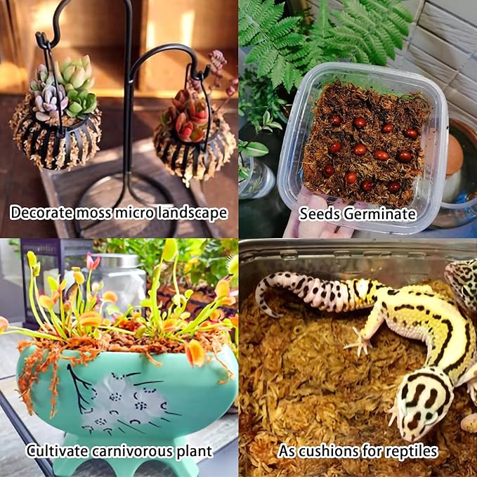 Legigo 10.5OZ Premium Sphagnum Moss for Plants 12QT Natural Long Fiber Moss Dried, Plant Moss for Orchid Repotting, Potted Plants, Succulents, Reptiles