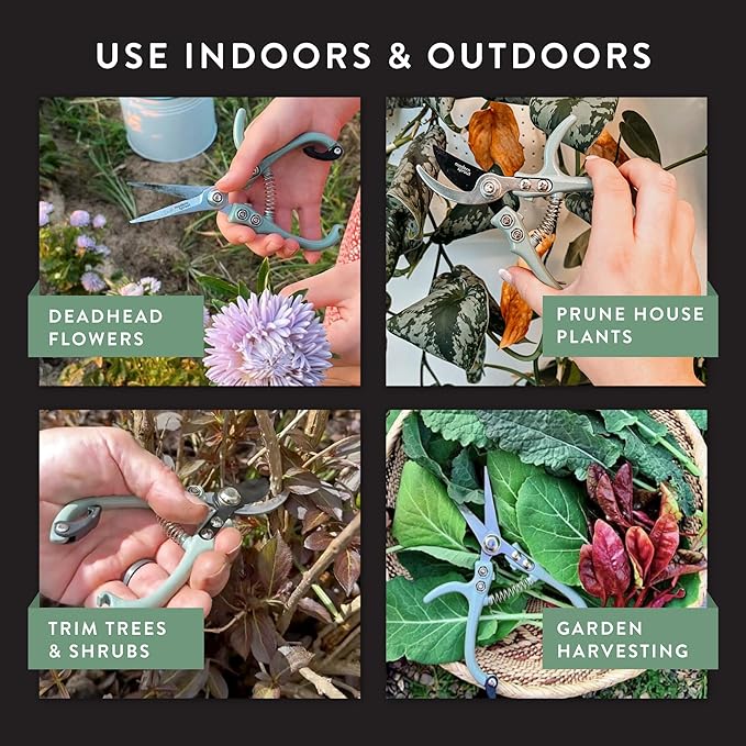 Modern Sprout Gardening Shears & Pruners 2-pack, Lightweight, Durable, One Size (Sage)