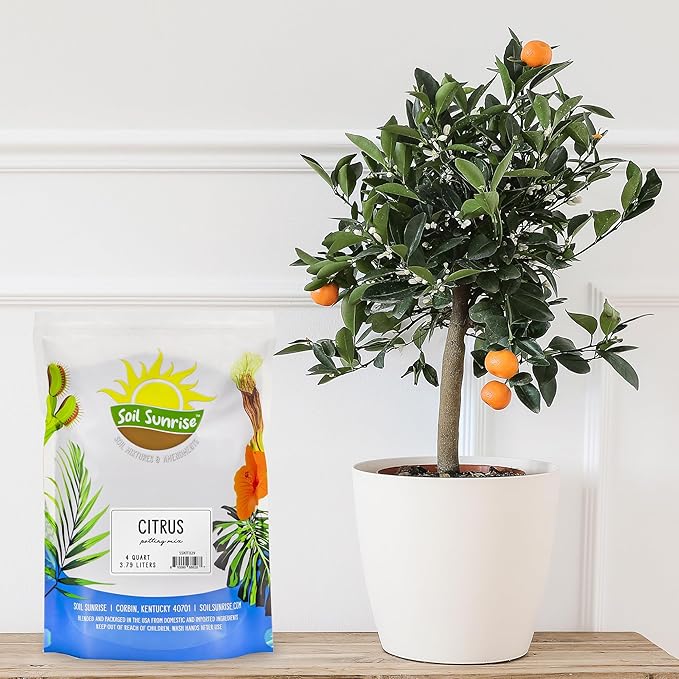 Citrus Tree Potting Soil Mix (4 Quarts), Special Blend for Indoor Oranges, Lemons, Limes and More