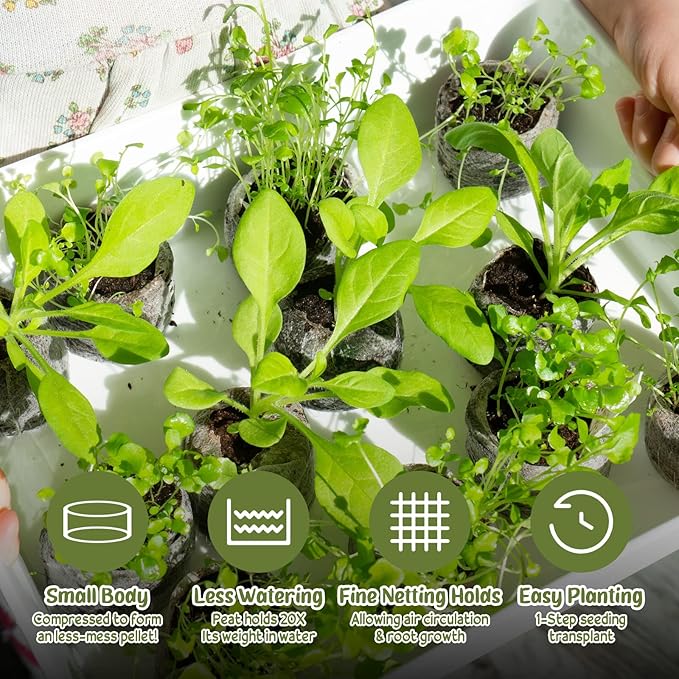 Legigo 300 Pcs 40mm Seed Starter Peat Pellets Pods for Seedlings- Compressed Seed Starting Pellets Seed Starter Pods Plugs Soil Peat Pods for Starting Seeds, Garden Planting Herb Flower Vegetables