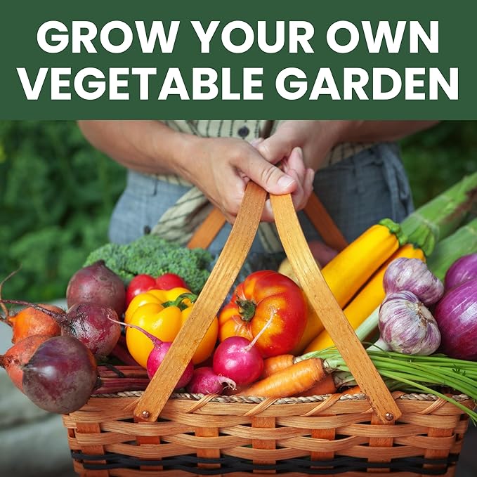 20 Vegetable Seeds | Survival Variety Pack | 2025 Season | Individually Packed Vegetables, Herbs and Fruits | Emergency Seed Vault for Doomsday Prepping | by Family Sown