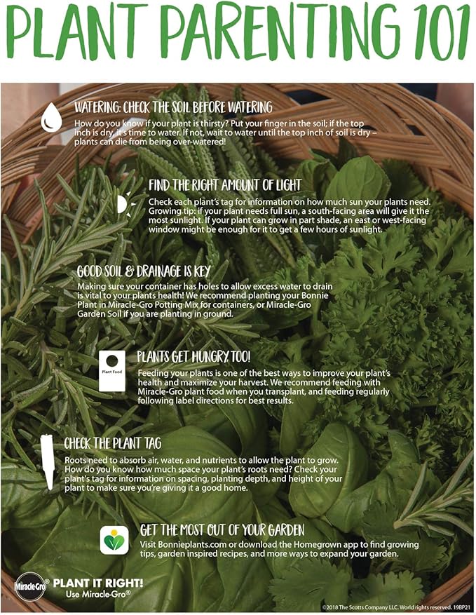 Bonnie Plants Tomato Sampler (4-Pack), Live Plants, Four Ideal Starter Varieties, Excellent Flavor & Productivity