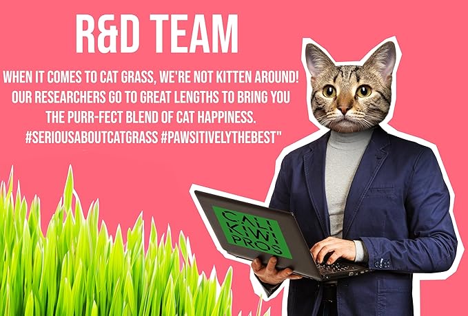 Ornamental Indoor Planter with Pet/Cat Grass Growing kit, Handcrafted in The USA from Red Cedar (Aged Tourquoise)