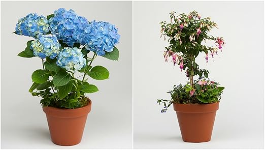 Potassium Polyacrylate Super Absorbent Polymer 5 Pounds