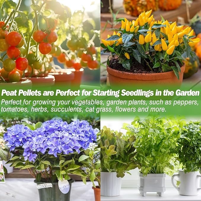 ZeeDix 200 Pcs (36mm) Peat Pellets for Seedlings, Compressed Seed Starting Plugs Pallet Potting Soil Block, Seed Starter Pellets Soil Pods for Planting Flowers, Herbs and Vegetables