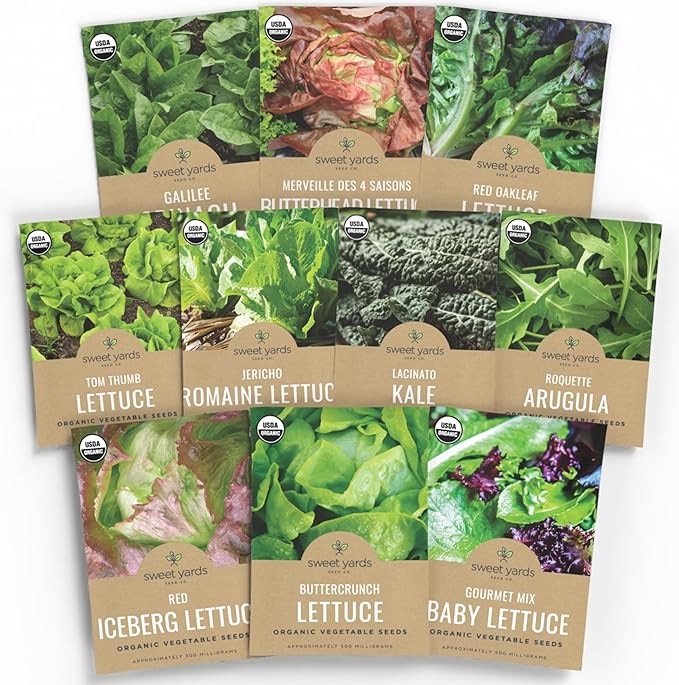 Organic Lettuce & Greens Seeds Variety Pack - 10 Individual Packs - 2025 Season - Buttercrunch, Arugula, Romaine, Kale and More! for Indoor & Outdoor Planting (Non-GMO, Certified Organic)