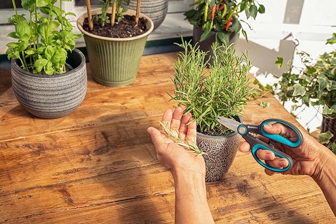 Gardena 12214-36 HerbCut Scissors with holder. Precise German engineered steel blades to maintain best health for plants. 25 Year Warranty