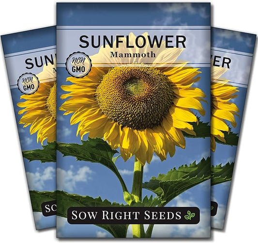 Sow Right Seeds - Mammoth Sunflower Seeds to Plant - Grow Giant Sunflowers in Your Garden - Non-GMO Heirloom Seeds for Planting an Outdoor Garden - Bright Yellow Blooms - Attract Bees and Birds (3)
