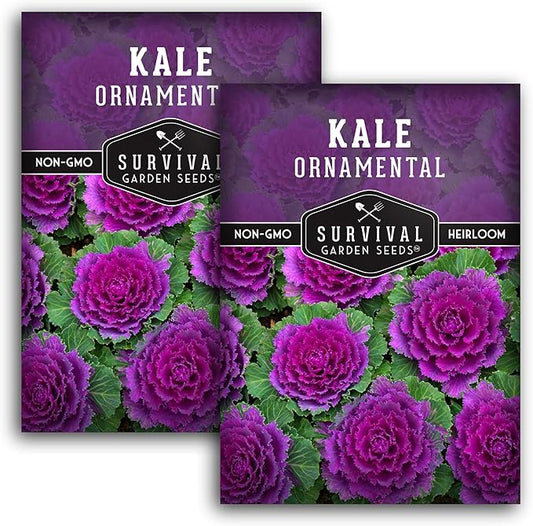 Ornamental Kale Seed for Planting - 2 Packets with Instructions for Growing Ornamental Flowering Kale Plants in Your Home Vegetable Garden - Non-GMO Heirloom Variety - Survival Garden Seeds
