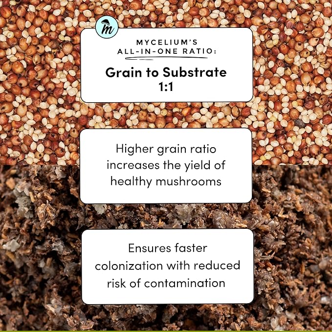 Mycelium Plus Gourmet Mushroom All-in-One Bag - Premium Organic 12 LB Blend of 50% Alder & 50% Soy Hull Substrate with Sterilized Millet/Milo Grain - Perfect for Wood-Loving Mushrooms
