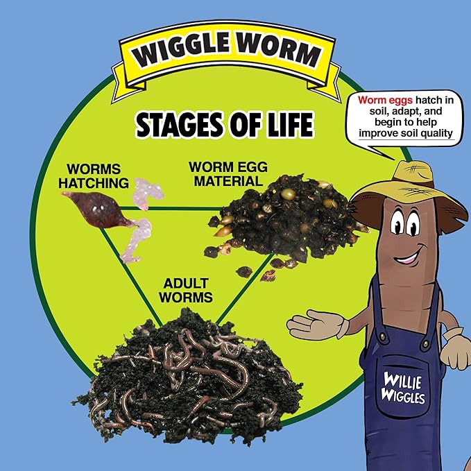 Soil Builder Raised Bed Mix, 40 Pound Bag - Worm Egg Material Mixed with Odor Free Wiggle Worm Pure Worm Castings - All Organic - Ready to Add Direct to Raised Bed, Planter, etc., Pack of 3