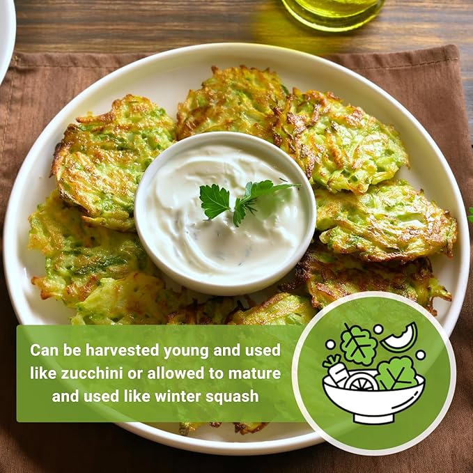 Sow Right Seeds - Tromboncino Rampicante Squash Seeds for Planting - Non-GMO Heirloom Packet with Instructions to Plant a Home Vegetable Garden - Grow Tasty Squash at Home, Great for Cooking