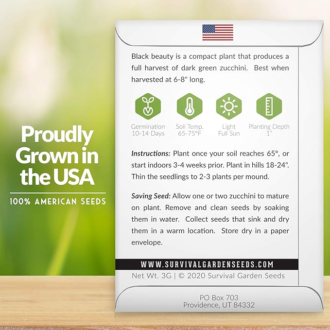 Survival Garden Seeds - Black Beauty Zucchini Seed for Planting - 1 Pack with Instructions to Plant & Grow Dark Green Summer Squash Plants in Your Home Vegetable Garden - Non-GMO Heirloom Variety