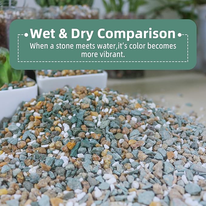 3lb Mix Rocks for Plants in Door -Mix Perlite,Maifanitum Stones,Zeolites Rocks for Bonsai Succulent Cactus Potting Soil and Vase Fillers, Fairy Gardening,Top Dressing