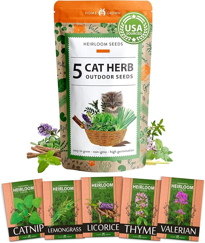 HOME GROWN 2100+ Cat Grass Seeds - Catnip Seeds, Lemongrass, Licorice, Thyme Seeds, Valerian - Grow Cat Grass for Indoor Cats - Cat Grass Seeds Bulk - Refill Cat Growing Grass Kit