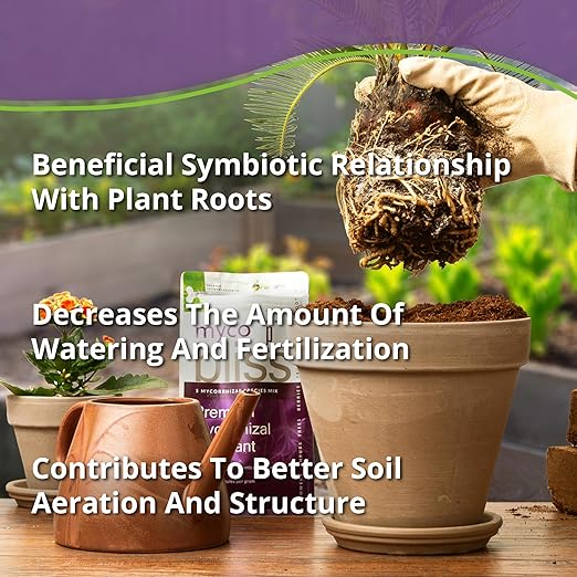Myco Bliss Powder (1lb) - Mycorrhizal Fungi for Soil - 5 Strain Mycorrhizal Inoculant with 1000 Propagules Per Gram - Highly Concentrated Mycorrhizae for Plants, Potting Soil, & Garden Soil