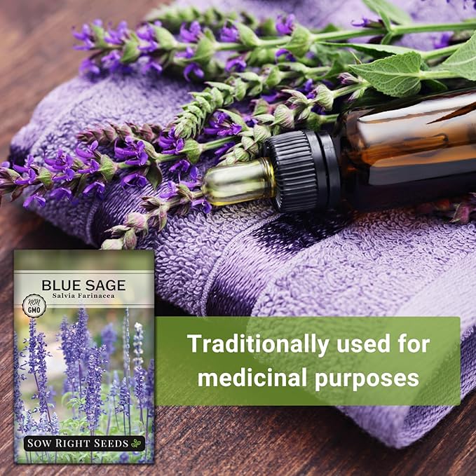 Sow Right Seeds - Blue Sage Wildflower Seed to Plant - Non-GMO Heirloom Seeds - Full Instructions for Planting and Growing Mealycup Sage or Salvia farinacea - Indoors or Outdoor - Gardening Gift (4)