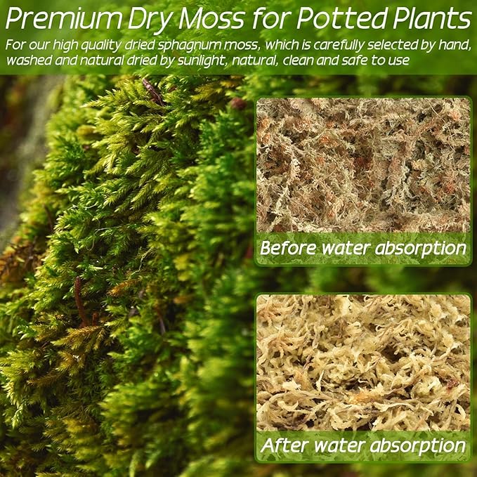 ZeeDix 1500g Premium Sphagnum Moss for Plants, 60QT Natural Long Fibered Orchid Moss Sphagnum Peat Moss Bulk for Carnivorous,Orchid,Sarracenia,Succulent,Venus Fly Traps and Reptiles