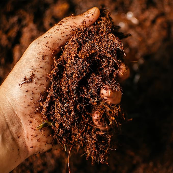 Coco Bliss Coco Coir Bricks (250gm Bricks, 10-Pack) - Organic Coco Coir for Plants - OMRI-Listed Coconut Coir for Plants - Coconut Coir Bricks - Coco Peat for Plants, Garden Soil, & Organic Mulch