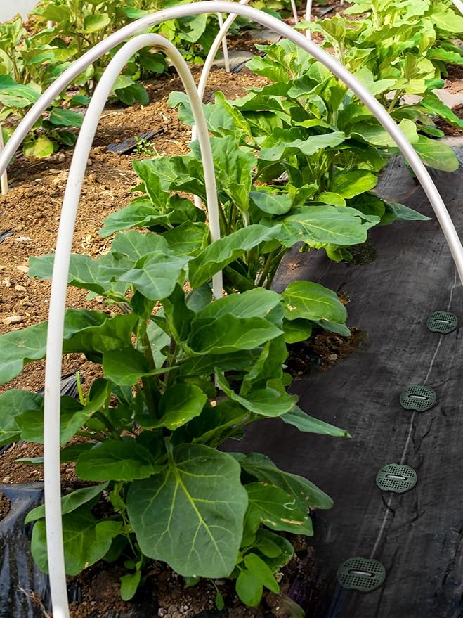 GROWNEER 100 Pack Galvanized Landscape Staples 6 inch 11 Gauge Garden Staples and 100 Pack Gasket U-Shaped Tent Stakes SOD Pins Yard Stakes for Securing Weed Fabric Barrier Ground Cover Fence