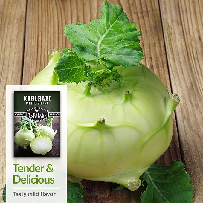 Survival Garden Seeds - White Vienna Kohlrabi Seed for Planting - 5 Packs with Instructions to Plant and Grow Unique Cruciferous Vegetables in Your Home Vegetable Garden - Non-GMO Heirloom Variety