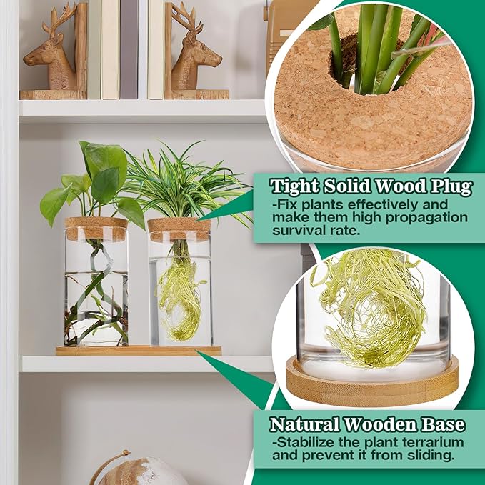 Plants Propagation Station - 2Pcs Desktop Plant Terrarium Glass Hydroponic Vases, Water Plant Propagating Jars, Gardening Gifts for Women Mom Plant Lovers (Thin Straight Shape, Conjoined Tray Style)