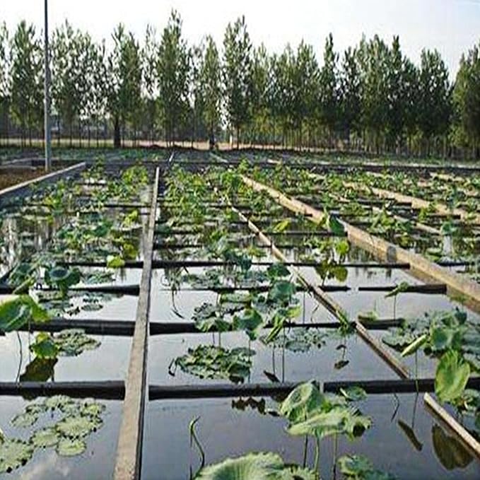 15 x 20 FT Pond Liner, 20 Mil Fish Pond HDPE Liner, Pond Liners for Outdoor Ponds, Koi Ponds, Garden Fountain, Waterfall